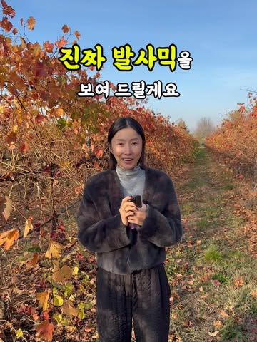 죠반니 레 발사믹 5 크라운