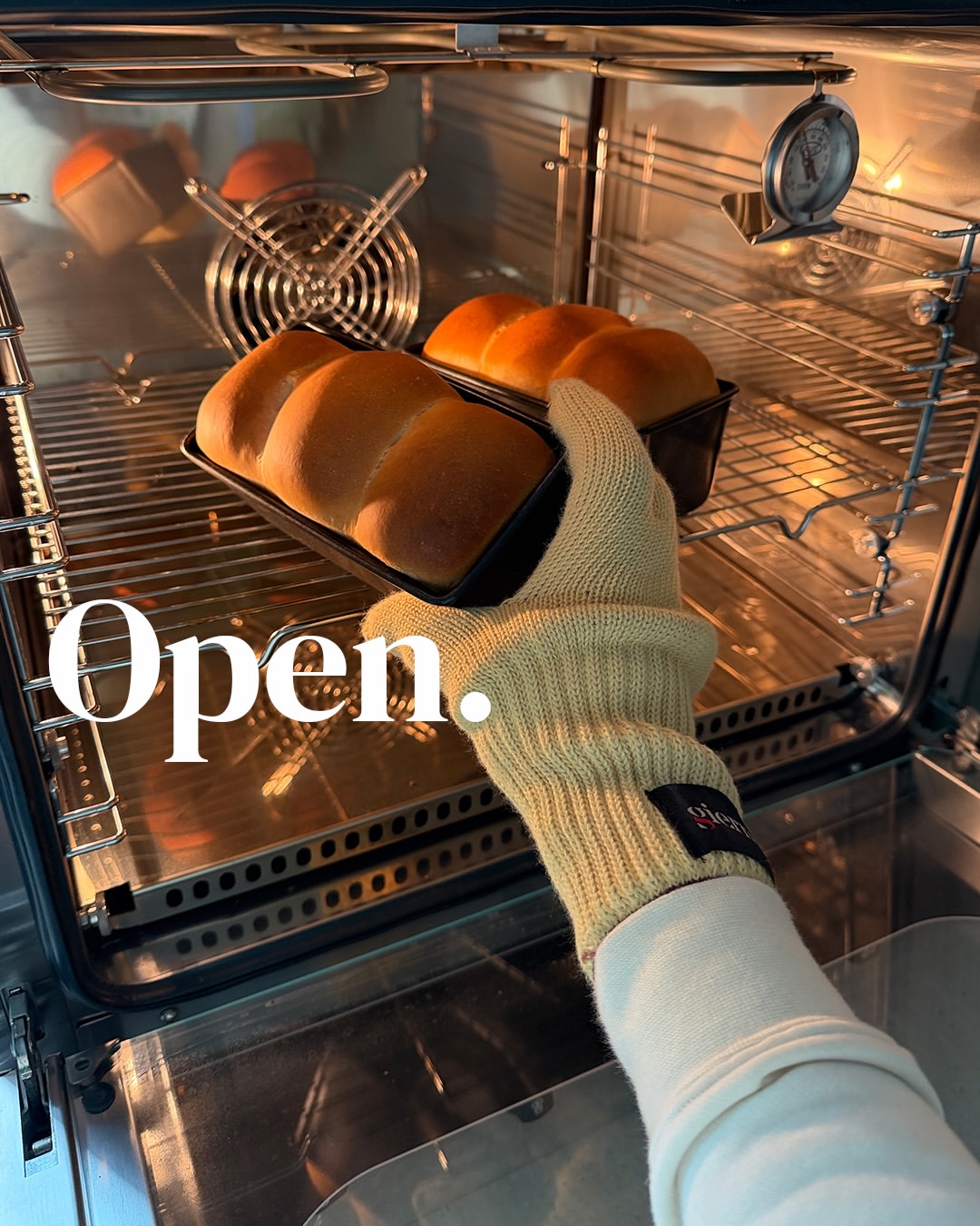 지에라 뉴 브리옥스 스팀오븐