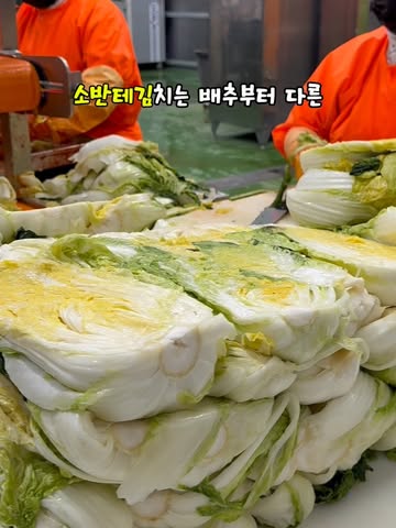 소반테 김치