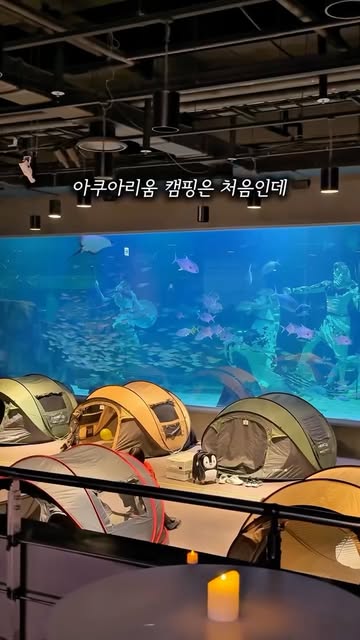 아쿠아리움 나이트 캠핑 패키지
