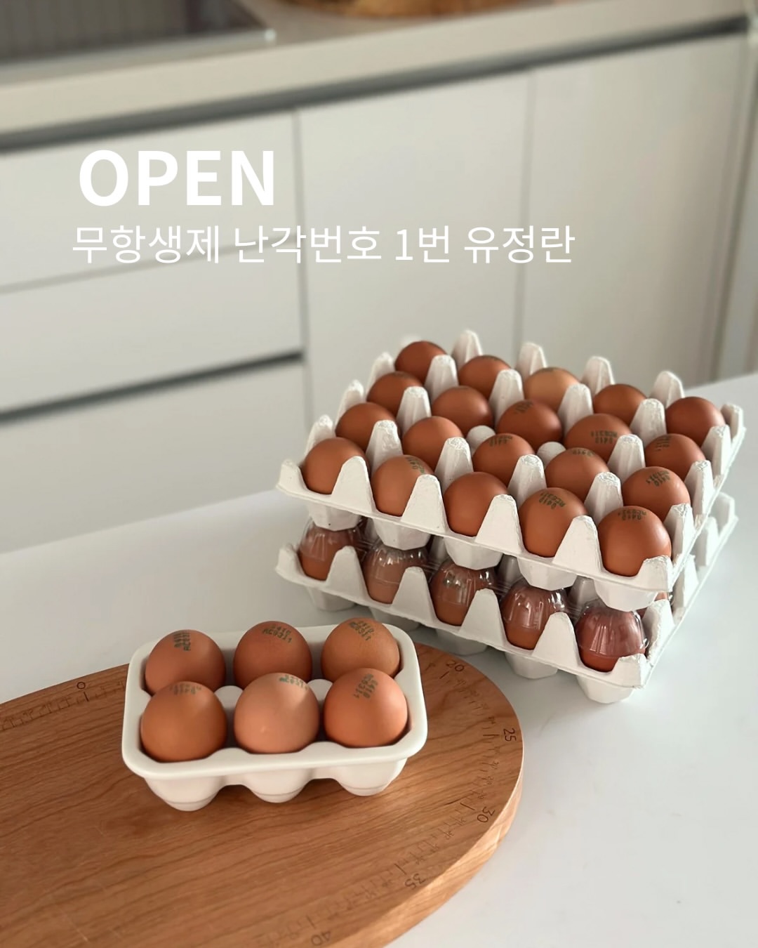 새벽햇살 무항생제 난각번호 1번 유정란